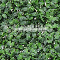 artificial boxwood hedge panels